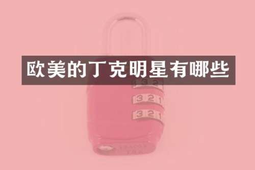 欧美的丁克明星有哪些