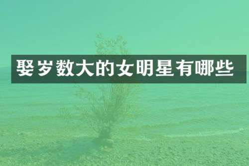 娶岁数大的女明星有哪些
