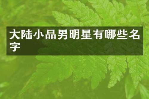 大陆小品男明星有哪些名字