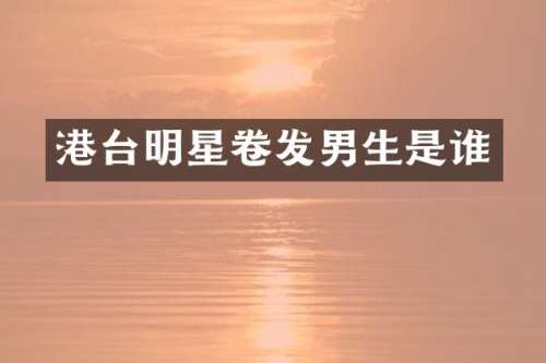 港台明星卷发男生是谁