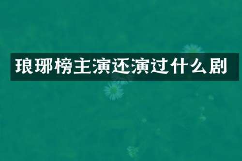 琅琊榜主演还演过什么剧