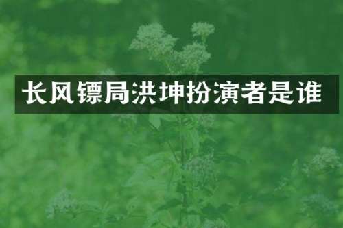 长风镖局洪坤扮演者是谁