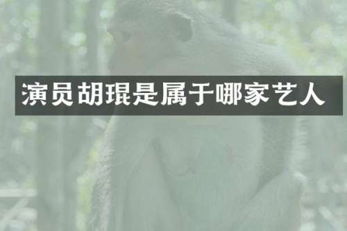 演员胡琨是属于哪家艺人