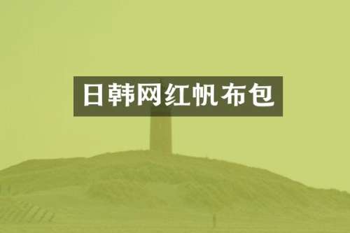 日韩网红帆布包
