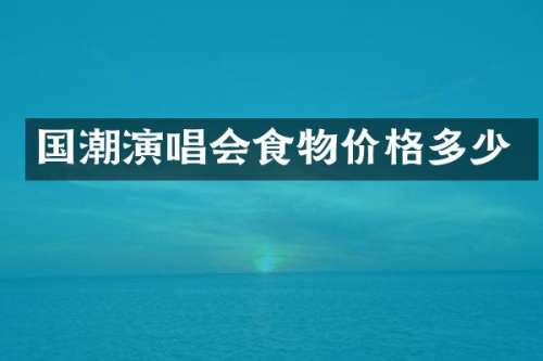 国潮演唱会食物价格多少
