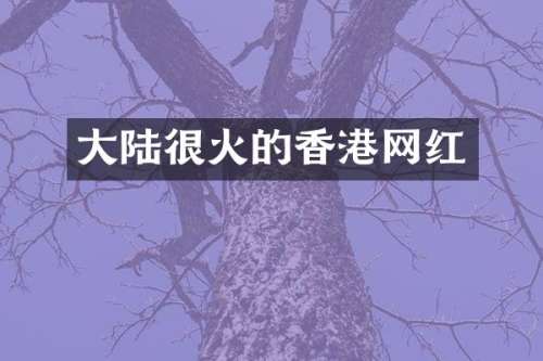 大陆很火的香港网红