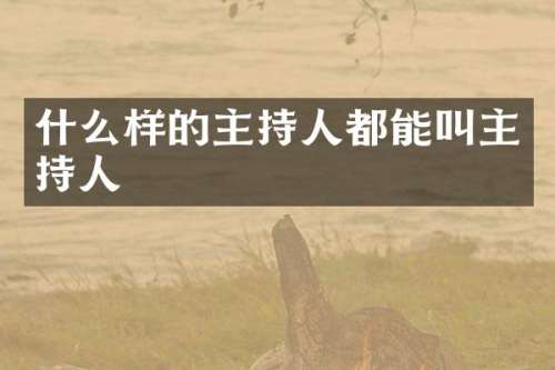 什么样的主持人都能叫主持人