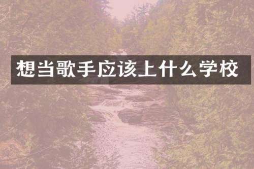 想当歌手应该上什么学校