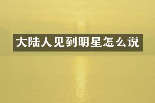 大陆人见到明星怎么说