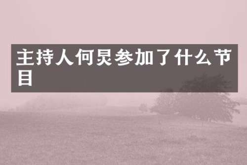 主持人何炅参加了什么节目