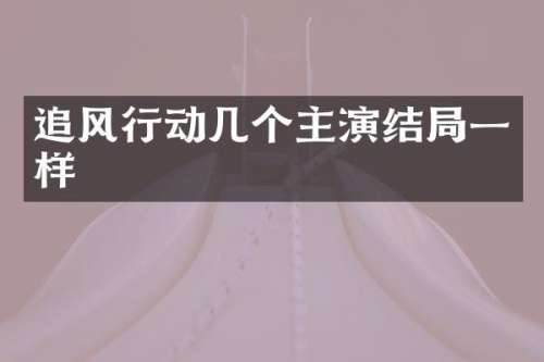 追风行动几个主演结局一样