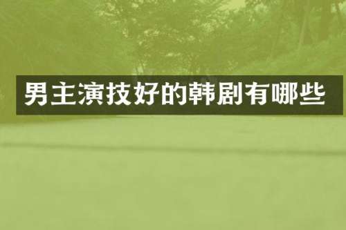 男主演技好的韩剧有哪些