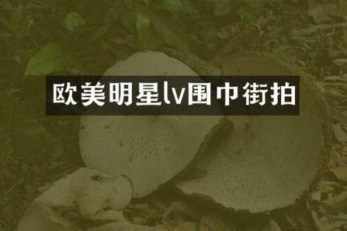 欧美明星lv围巾街拍
