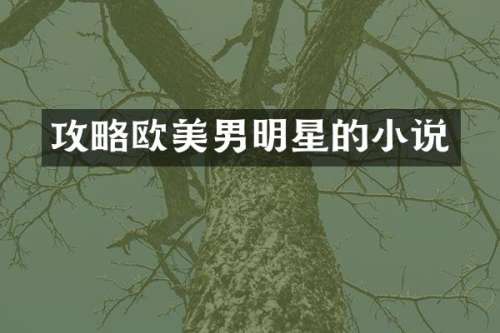 攻略欧美男明星的小说