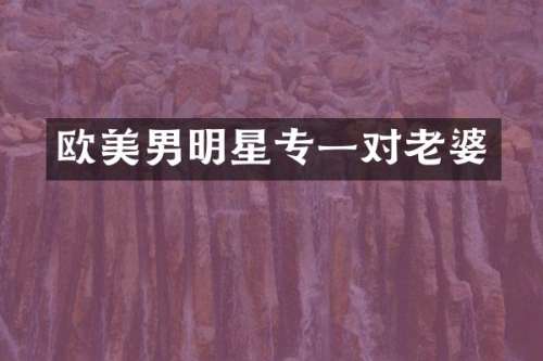 欧美男明星专一对老婆
