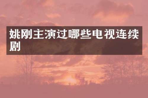 姚刚主演过哪些电视连续剧
