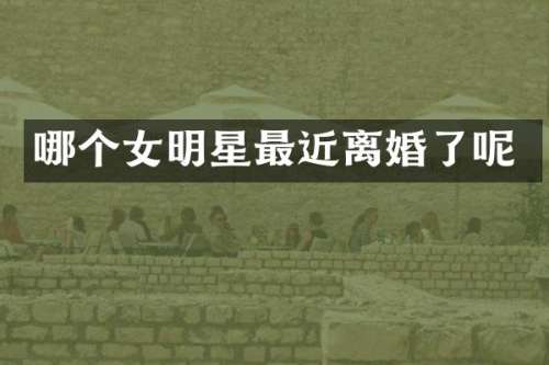 哪个女明星最近离婚了呢