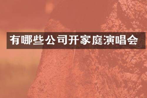 有哪些公司开家庭演唱会