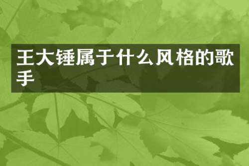 王大锤属于什么风格的歌手