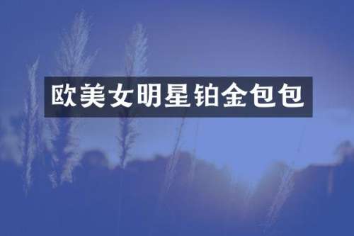 欧明星铂金包包
