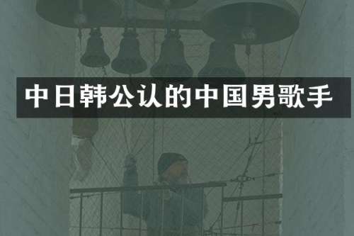 中日韩公认的中国男歌手