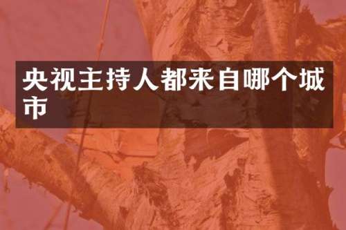 央视主持人都来自哪个城市