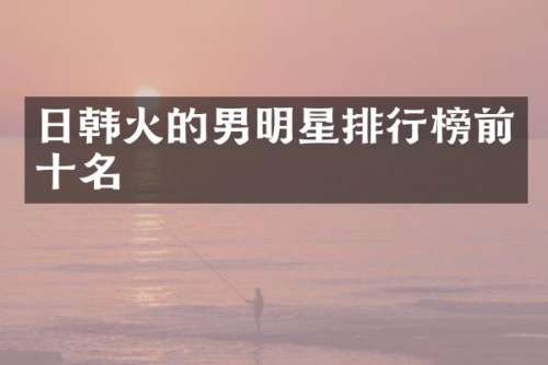日韩火的男明星排行榜前十名