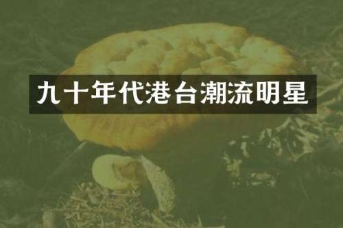 九十年代港台潮流明星