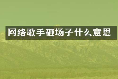 网络歌手砸场子什么意思