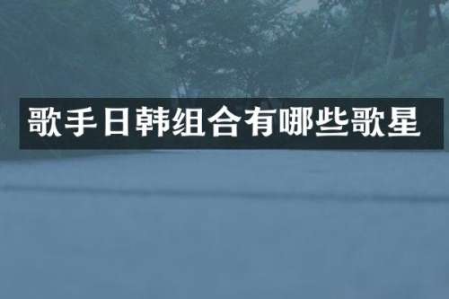 歌手日韩组合有哪些歌星