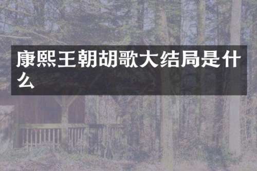 康熙王朝胡歌大结局是什么