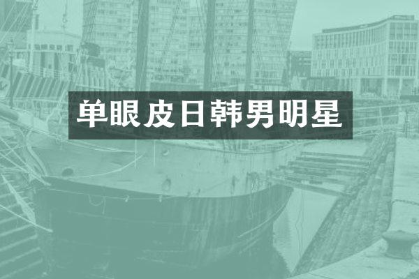 单眼皮日韩男明星