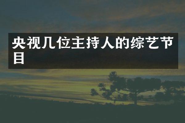 央视几位主持人的综艺节目