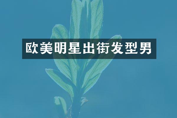 欧美明星出街发型男