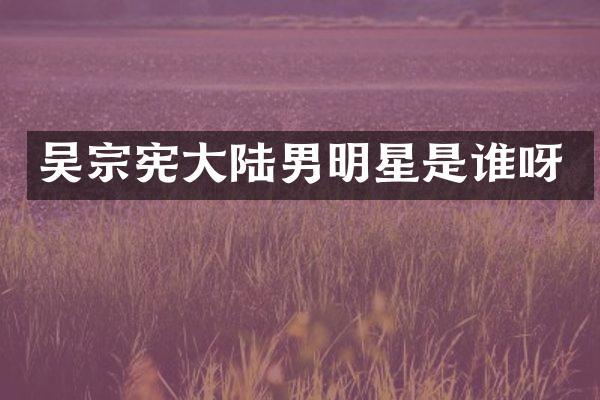 吴宗宪大陆男明星是谁呀