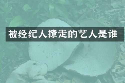 被经纪人撩走的艺人是谁