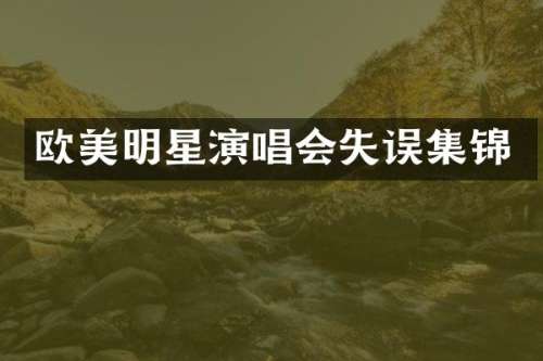 欧美明星演唱会失误集锦