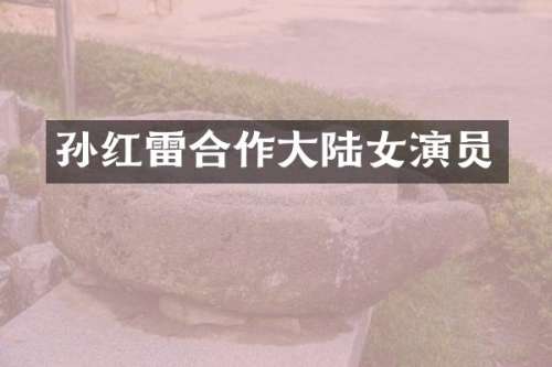 孙红雷合作大陆女演员