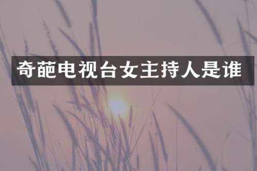 奇葩电视台女主持人是谁