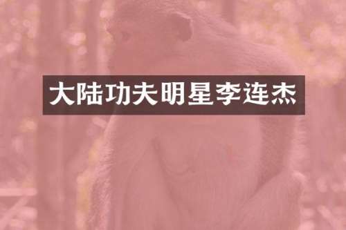 大陆功夫明星李连杰