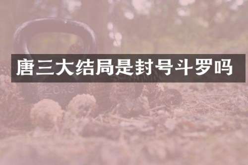 唐三大结局是封号斗罗吗