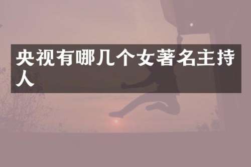 央视有哪几个女著名主持人