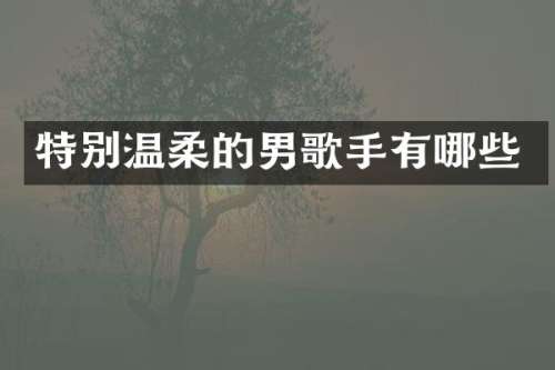 特别温柔的男歌手有哪些