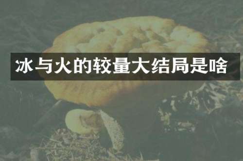 冰与火的较量大结局是啥