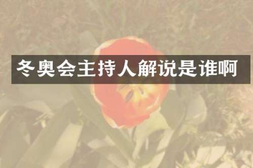 冬奥会主持人解说是谁啊