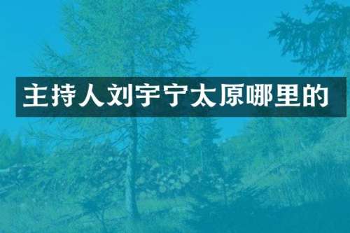 主持人刘宇宁太原哪里的