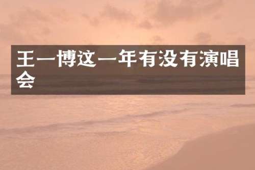 王一博这一年有没有演唱会