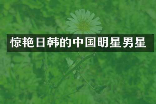 惊艳日韩的中国明星男星