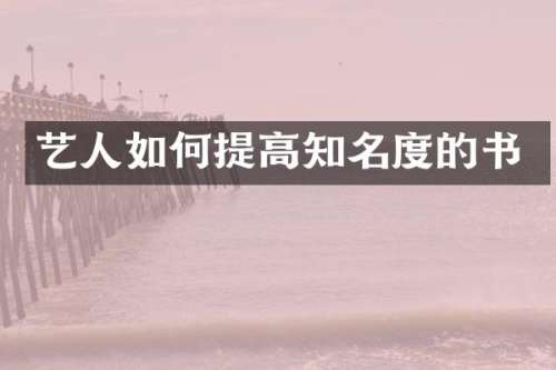 艺人如何提高知名度的书