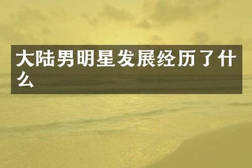大陆男明星发展经历了什么
